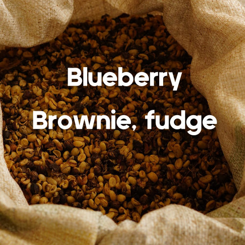Ethiopia Sidamo (12oz)